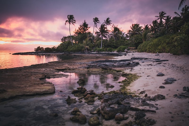 Tropical Paradises
